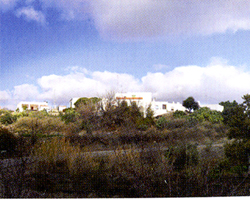Rambla Honda